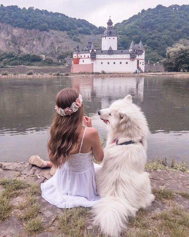 🐶🎉 Unleashing the Joy: Meet the Fluffy Boy Who Transformed My Life! ❤️