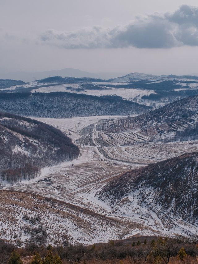 初春崇禮三樑｜又遇風雪交加的山野體驗