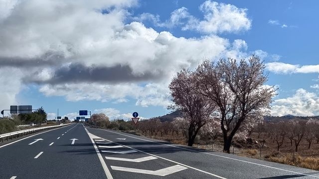 冬季伊比利亞公路之旅—杏花篇