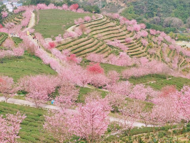 發朋友圈，沒人發現是在廣東