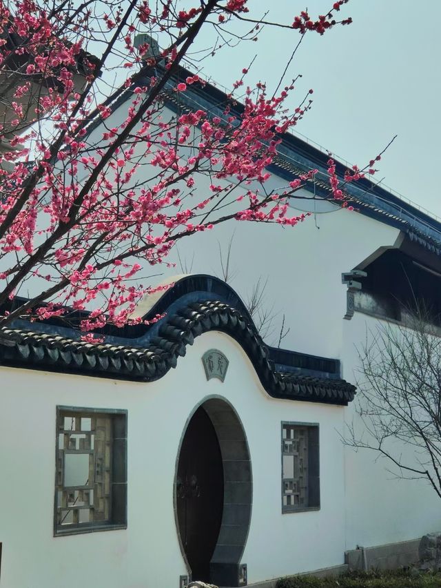 春暖花開好時節，尋找記憶中的古鎮