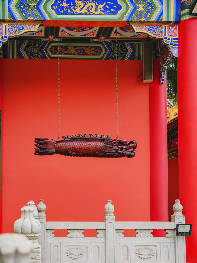 祈福 | 大嶺山森林公園觀音寺