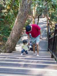 普洱旅行+爆火的小熊猫莊園怎麼玩？攻略日程來啦