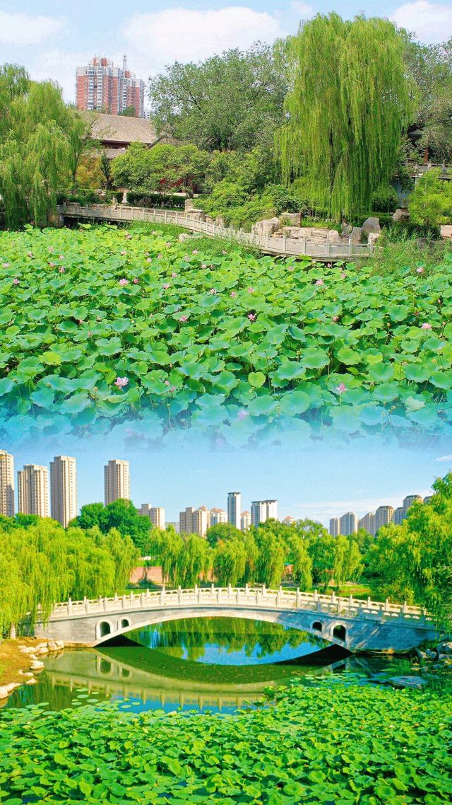 天津「西沽公園」