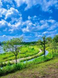 在這個公園裡能玩一下午……