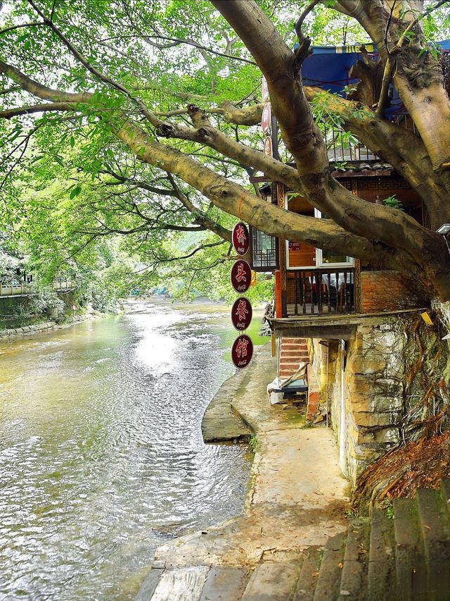 重慶偏岩古鎮丨黑水灘河消夏避暑，黃葛樹盤根錯節，雙槍老太婆