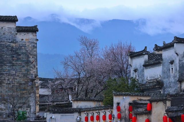 花筑奢·徽州｜體驗梨花繁盛下的古韻飄香