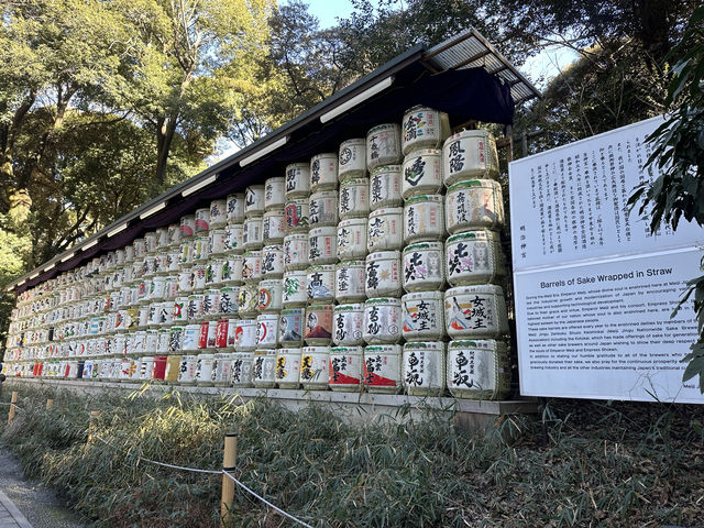 日本旅行——那些值得一去的地方