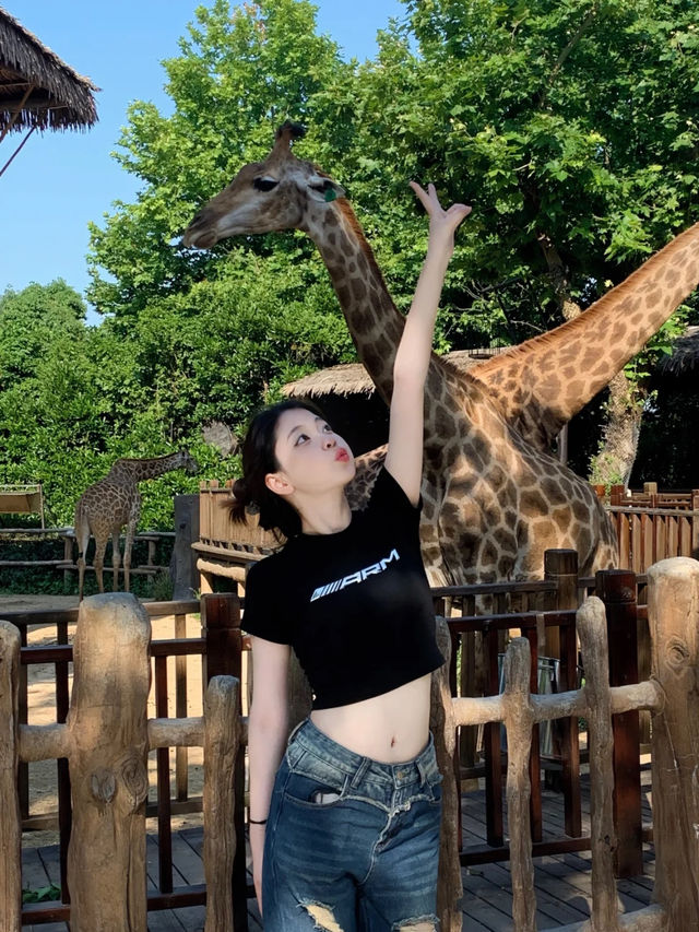 上海野生動物園值不值得去