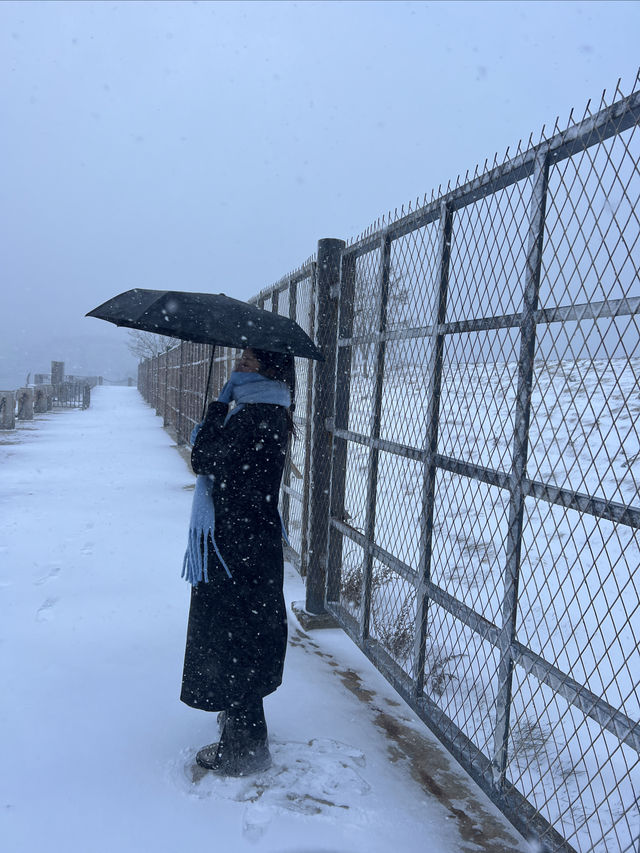 別再花錢去北海道看雪啦！大連海邊雪景性價比更高（附攻略）