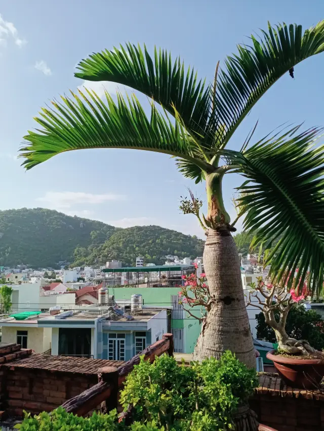 Po Nagar Cham Towers is one of the oldest historical monuments in Nha Trang