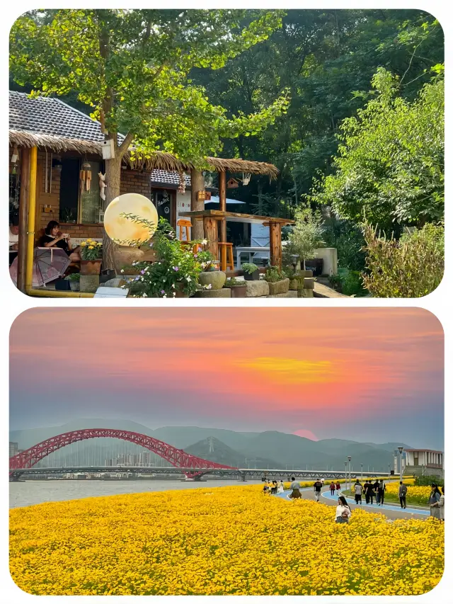 Ningbo citywalk Yulan Flower Route City Day Tour