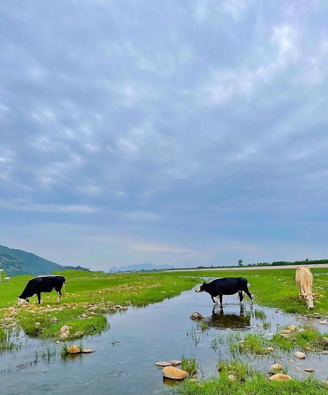 邯鄲旅遊攻略