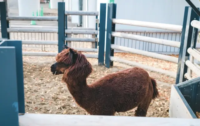 上野動物園｜打卡攻略