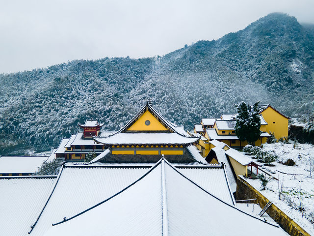 江西C位 | 這趟宜春之旅不去不行了！