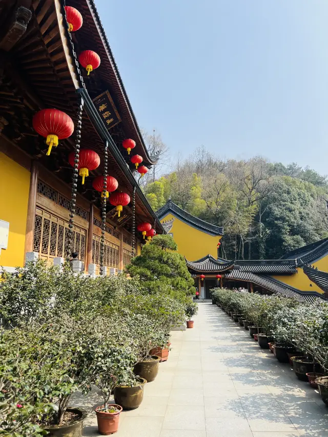 Hangzhou's Upper Tianzhu | The recently trending Faxi Temple~