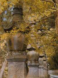 浙江寧波天童寺｜山間走禪，見性見佛