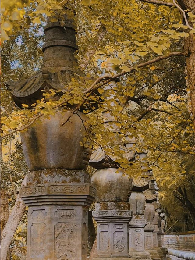 浙江寧波天童寺｜山間走禪，見性見佛
