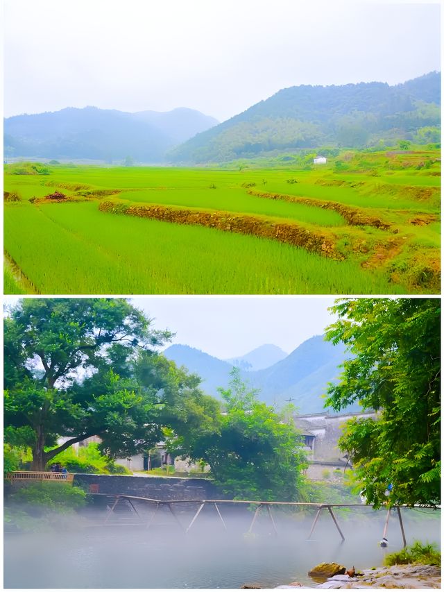 天青色等煙雨，而我來瑤里，瑤里古鎮，一個被時光凝固的千年古鎮