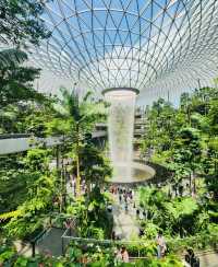 新加坡樟宜機場全球最美