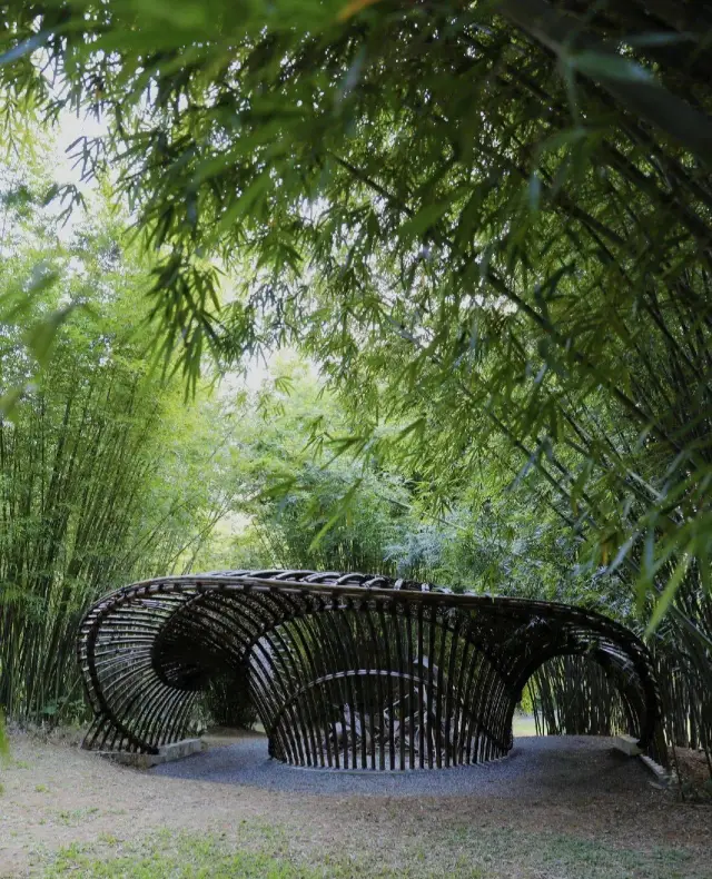 Seeking respite from the heat in Shenzhen, one finds solace in the breezy bamboo forests