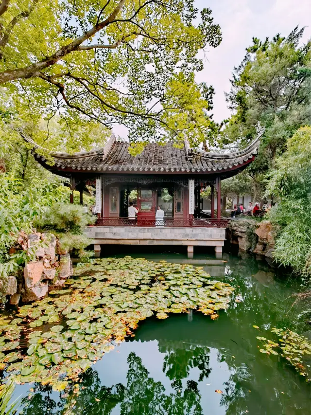 Suzhou Couple's Garden Retreat | A serene environment, a garden of love