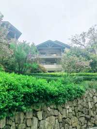 安吉JW萬豪酒店，只看過一眼，就沒法忘記那容顏
