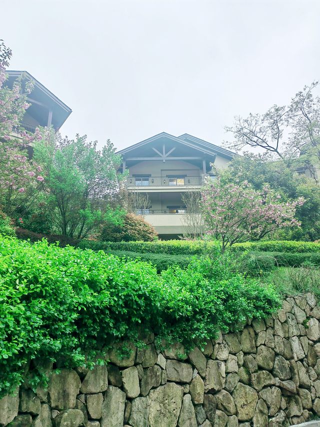 安吉JW萬豪酒店，只看過一眼，就沒法忘記那容顏