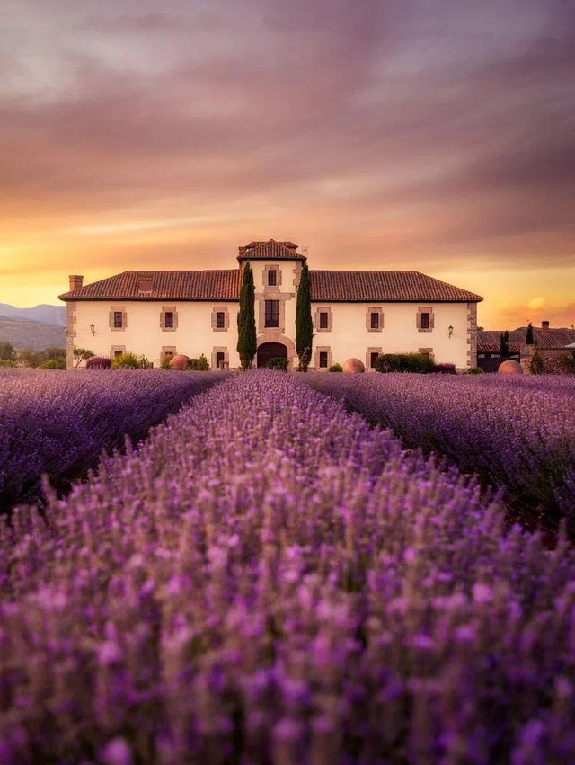 Spring beauty 🇫🇷🇨🇭🇩🇪 🇪🇸