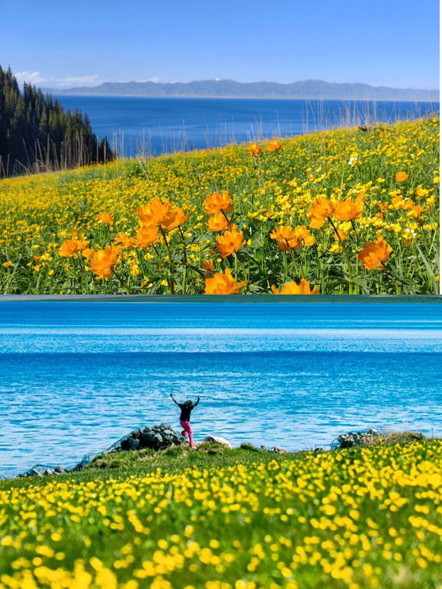 新疆的賽里木湖比宮崎駿的動畫還要美