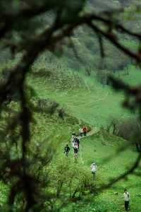 記錄一個春天仙女山度假勝地