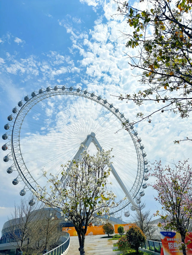 我找到了福州春和景明的地點