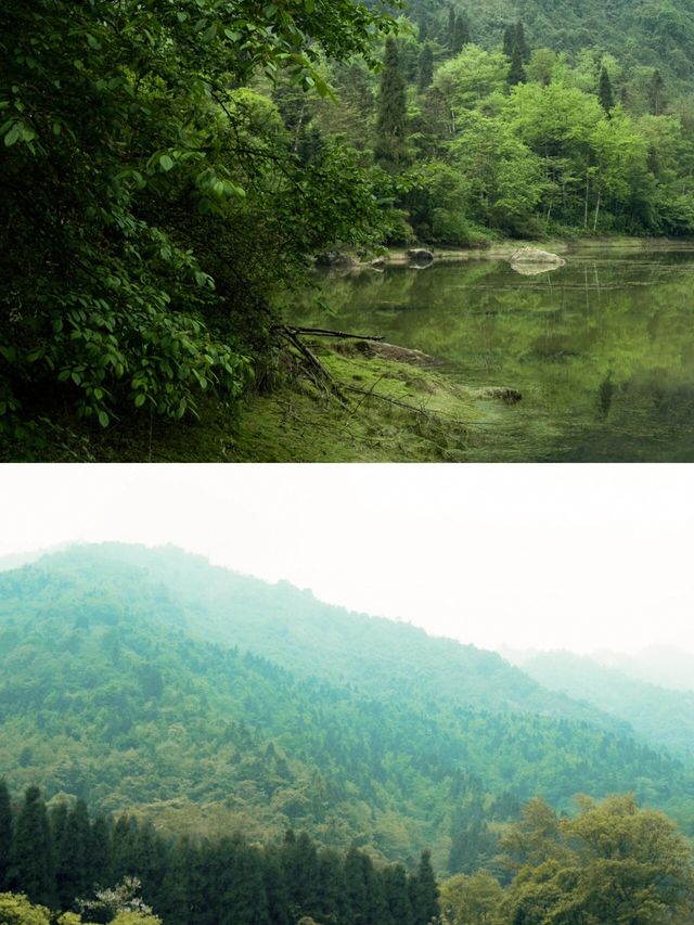秘境森林·龍池