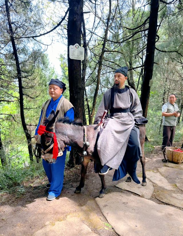 來高廟鋪徒步蜀道，體驗蜀道難