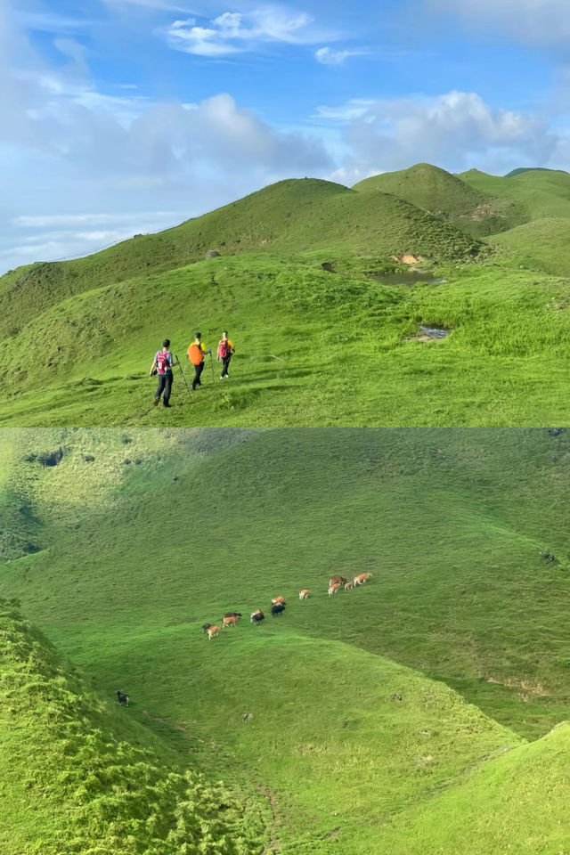 三官頂看高山草甸，小白徒步路線來啦！