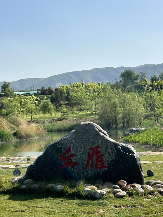 雁丘園｜太原新地標，感受元好問“千古一問”