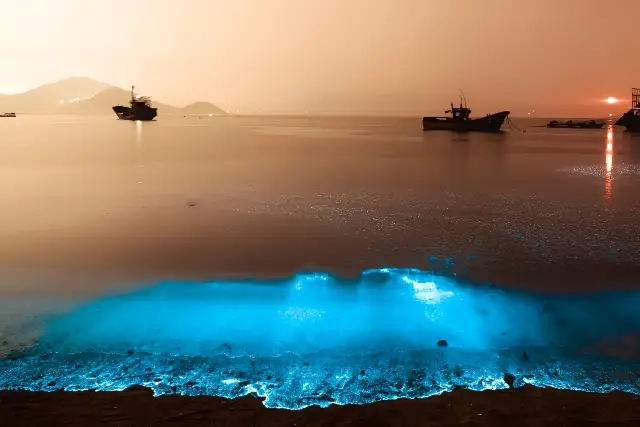 【Pingtan Island·Blue Tears】A journey to the fluorescent beach is a must in this lifetime