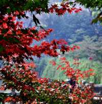 夏日納涼好去處:人少景美清涼山