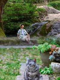哇塞！浙江竟藏着這樣一個寶藏小城！