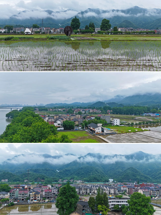 杭州梅雨季的仙境在桐庐｜天青色等烟雨，我在梅蓉村等你