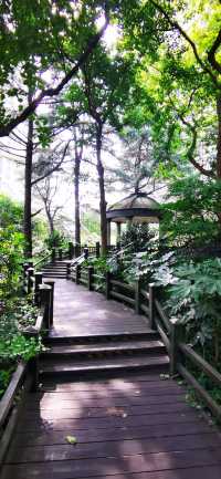 長壽公園：普陀人家門口的“清涼世界”