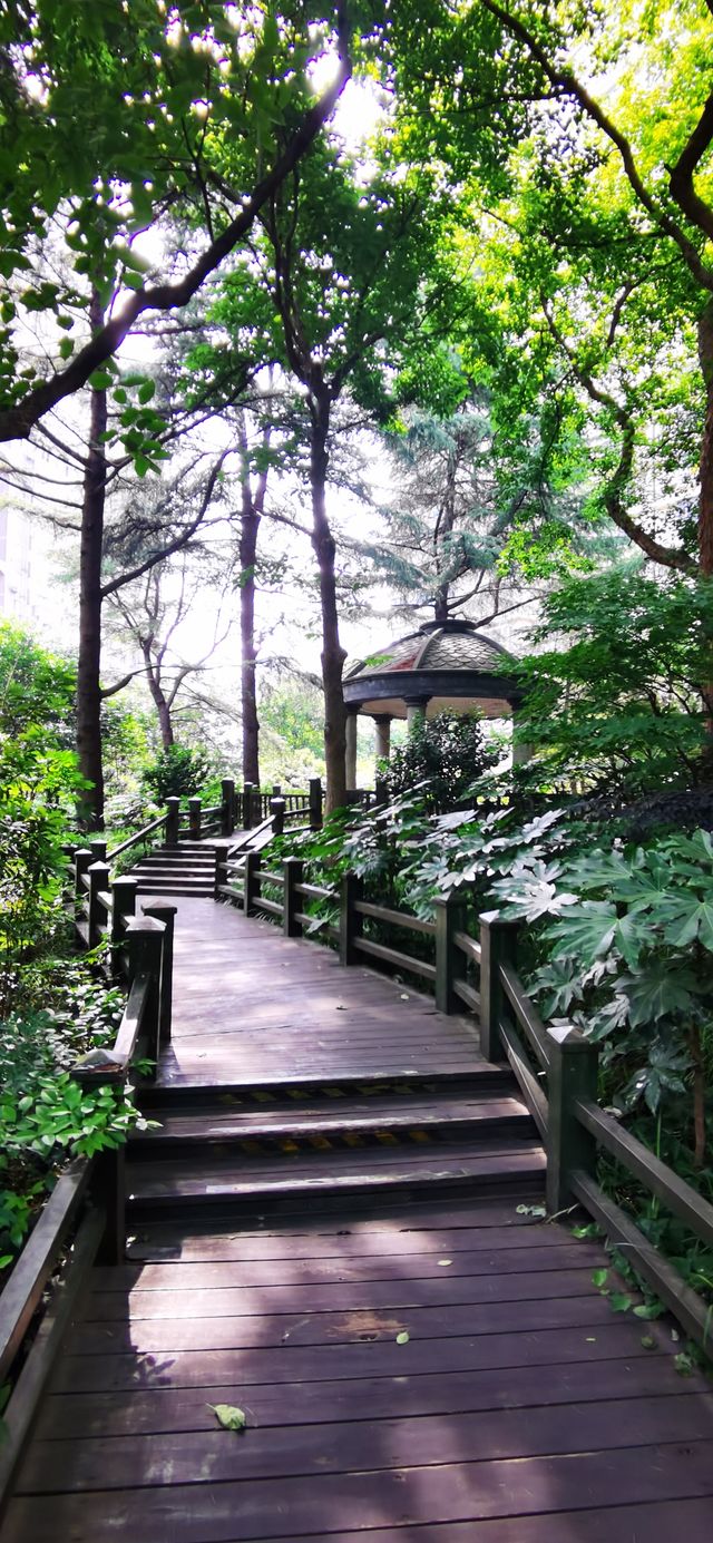 長壽公園：普陀人家門口的“清涼世界”