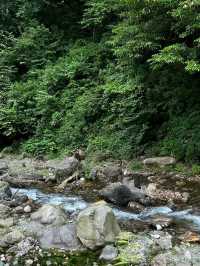 成都周邊2h，看猴子耍水輕徒步好去處