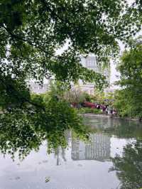 上海嘉定賞花好去處推薦，紫藤園