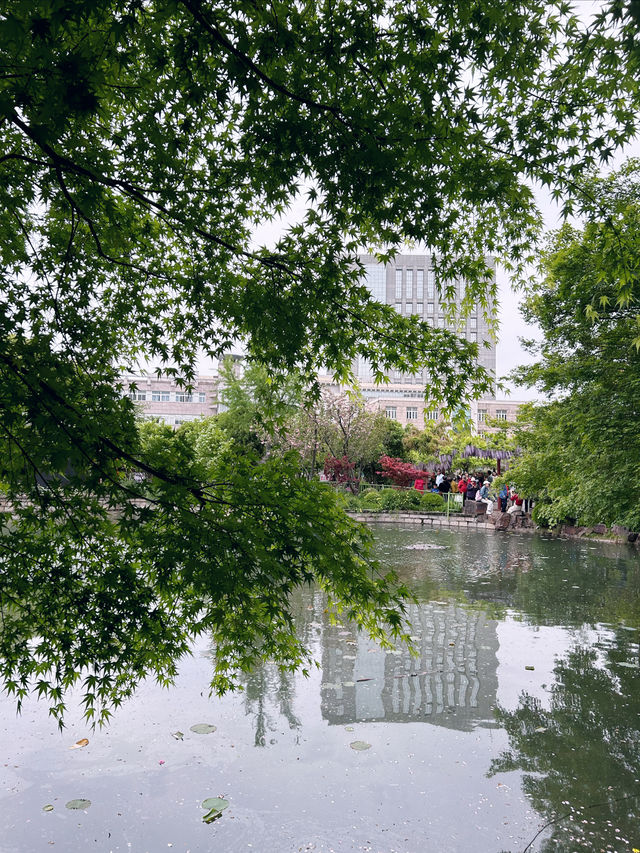 上海嘉定賞花好去處推薦，紫藤園