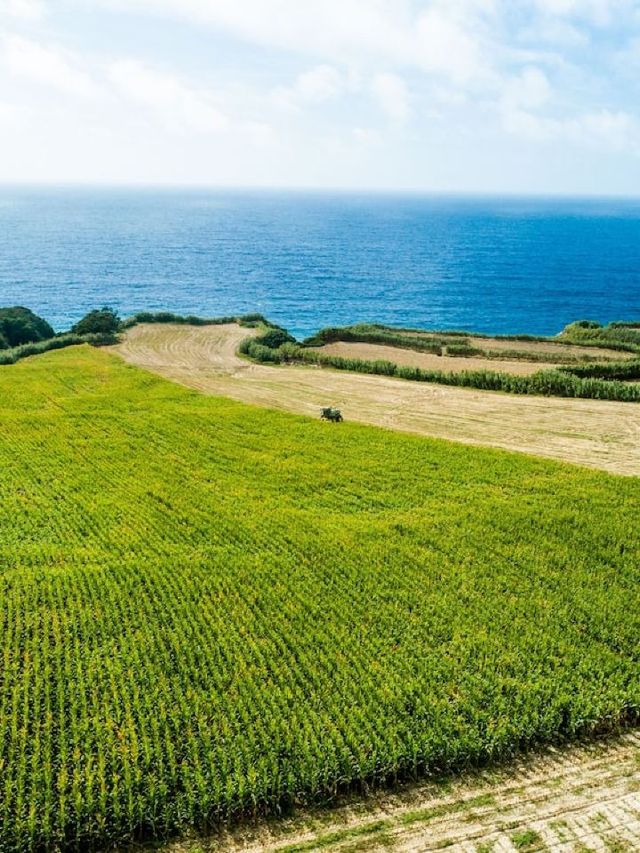 🌟 Azores Getaway: Sensi Spa & Nature Paradise 🌿