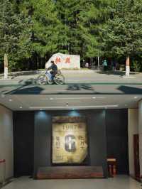 跨越大半個中國去漠河，逃離40­°C高溫太爽了