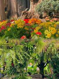 太原植物園，真不愧為天王嫂“昆凌”打卡的地方