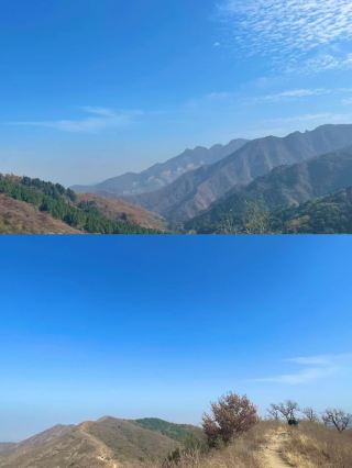 Binzhou Zouping City Hebanshan National Forest Park