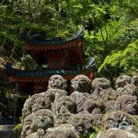  ⛩️ Kyoto - a must visit in 🇯🇵